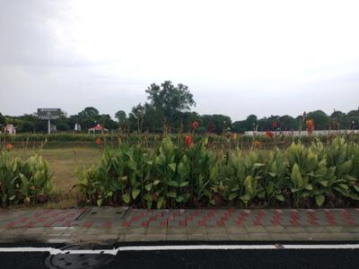 Image of 117 Sq.ft Residential Plot / Land for sale in New Stone Coral Park by New Stone Infratech Private Limited, Sector 84, Faridabad for Rs. 17000000