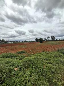 Devanahalli Plot View 2