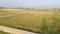 Bihta Main Image 1
