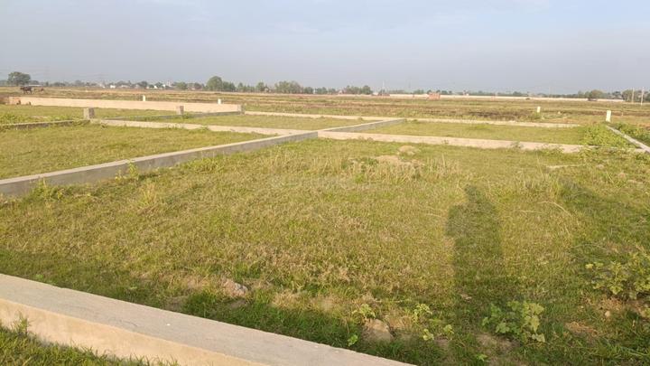 Bihta Main Image 1