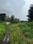 Chowk Plot View 2