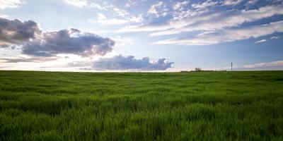 Image of 18900 Sq.ft Residential Plot / Land for sale in Satellite, Ahmedabad for Rs. 315236987