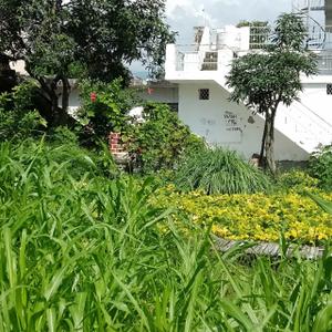 Image of 3600 Sq.ft 5 BHK Independent House for sale in Badripur, Dehradun for Rs. 31000000