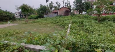 Residential Plot