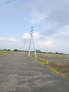 Lam Plot View 2