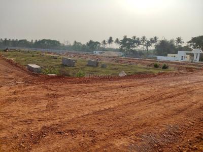 Malipada Plot View 2