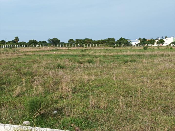 Thenur, Chengalpattu Main Image 1