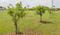 Walajabad Main Image 1
