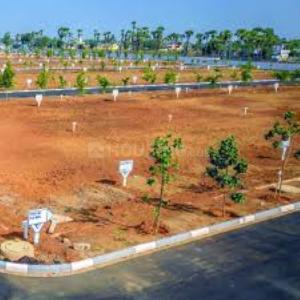 Image of 12000 Sq.ft Residential Plot / Land for sale in Shadnagar, Ranga Reddy for Rs. 3300000