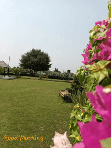 Image of 10000 Sq.ft 2 BHK Farm House for sale in Mohanlalganj, Lucknow for Rs. 7500000
