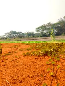 Image of 1500 Sq.ft Residential Plot / Land for sale in Tankapani Road, Bhubaneswar for Rs. 1600000