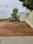 Google city Main Image 1