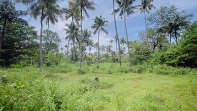 Image of 103237 Sq.ft Residential Plot / Land for sale in North Paravoor, Kochi for Rs. 41000000