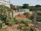 L.B.S Colony Plot View 2