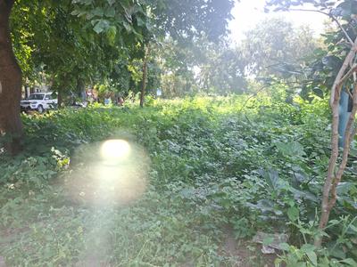 Image of 1355 Sq.ft Residential Plot / Land for sale in Scheme No 140, Indore for Rs. 21138000