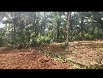 Residential Plot