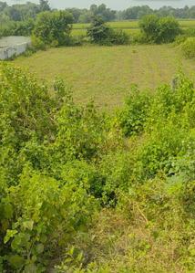 Image of 2600 Sq.ft Residential Plot / Land for sale in Bakshi Ka Talab, Lucknow for Rs. 5400000