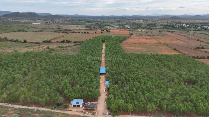 Akkayapalli Main Image 1