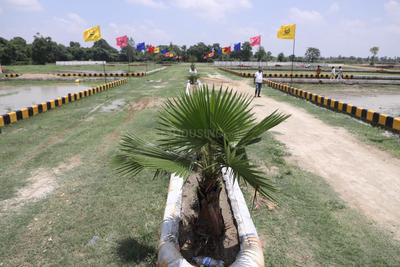 Residential Plot