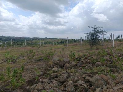Image of 1250 Sq.ft Residential Plot / Land for sale in Lohegaon, Pune for Rs. 3615000
