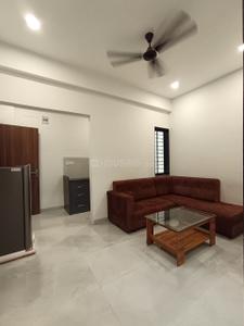 Hall Image of 1200 Sq.ft 2 BHK Apartment / Flat for rent in L I G Colony Indore for Rs. 22000