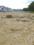 Atul Nagar Main Image 1