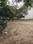 DLF City Phase 1 Main Image 1