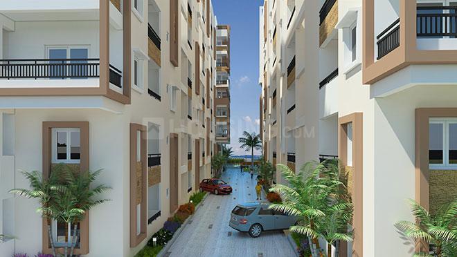 Tricolour Palm Cove Main Image 1