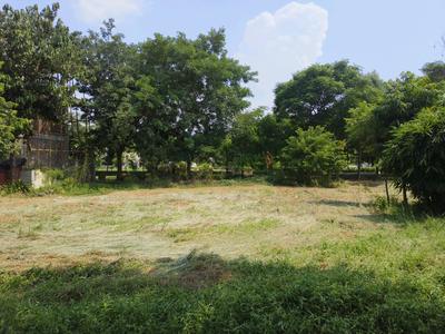 Residential Plot