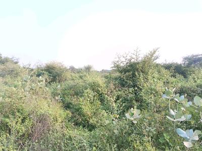 Image of 32 Sq.ft Residential Plot / Land for sale in Sector 34 Rohini, New Delhi for Rs. 6000000