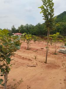 Image of 200 Sq.ft Residential Plot / Land for sale in Bhogapuram, Visakhapatnam for Rs. 1200000