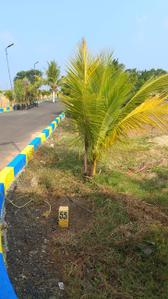 Image of 880 Sq.ft Residential Plot / Land for sale in Minjur, Chennai for Rs. 1408000