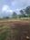 Mulshi Plot View 2