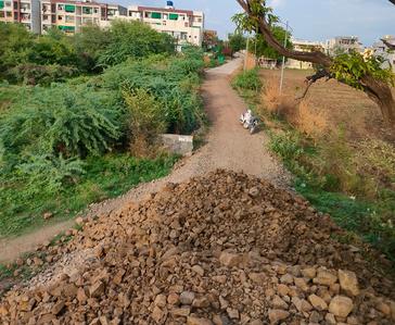 Agricultural Land