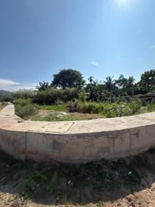 Azara Plot View 1