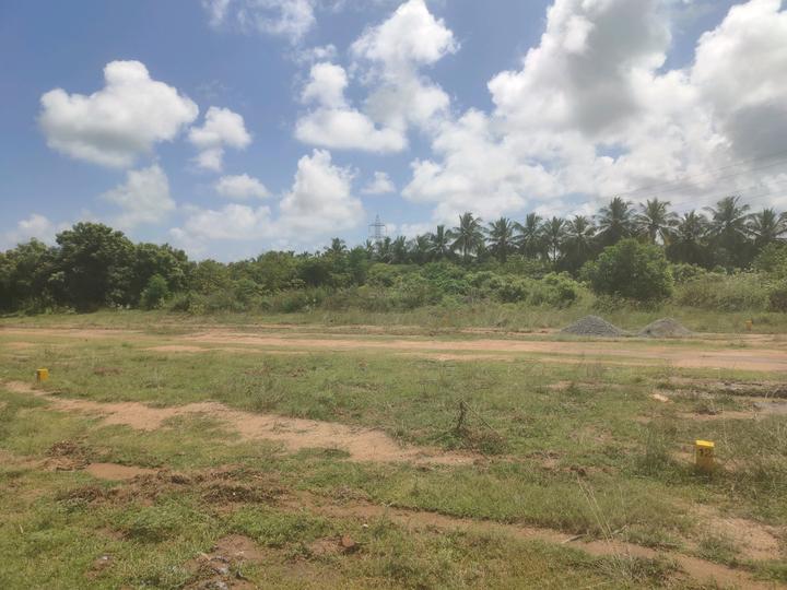 Mahabalipuram Main Image 1