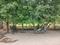 Pili Kothi Hetram Main Image 1