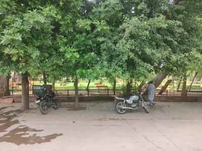 Pili Kothi Hetram Plot View 1