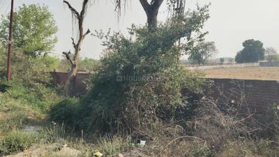 Image of 162000 Sq.ft Residential Plot / Land for sale in Sarojini Nagar, Lucknow for Rs. 90000000