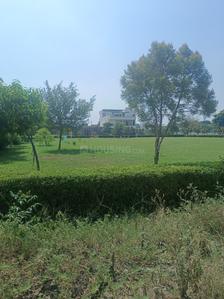 Image of 500 Sq.ft Residential Plot / Land for sale in Sector 97, Mohali for Rs. 40000000