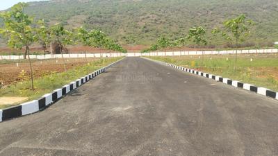 Chippada Plot View 2