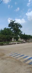 Image of 1339 Sq.ft Residential Plot / Land for sale in Bhilai Marshalling Yard, Charoda for Rs. 2142000