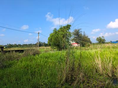 Image of 1440 Sq.ft Residential Plot / Land for sale in Wander Valley, Joka, Kolkata for Rs. 555555