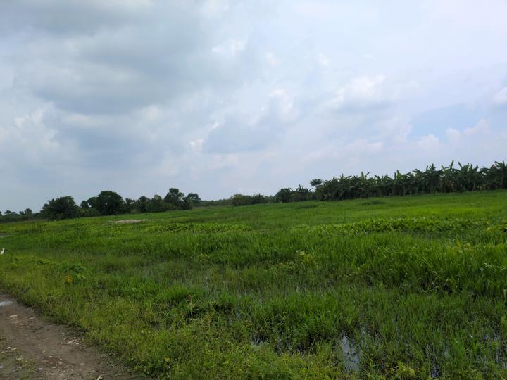 Diamond Park Main Image 1