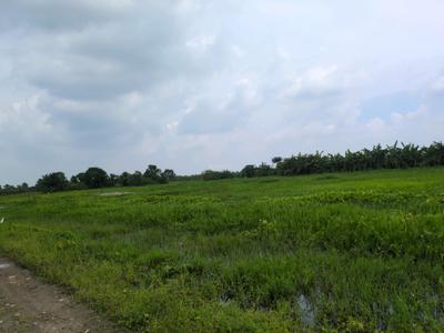 Image of 3600 Sq.ft Residential Plot / Land for sale in Joka, Kolkata for Rs. 750001