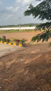 Residential Plot