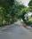 33A Main Image 1