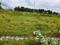 Saha r Plot View 2