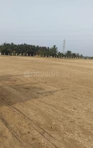 Image of 900 Sq.ft Residential Plot / Land for sale in Chettipalayam, Coimbatore for Rs. 250000
