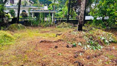 Image of 5880 Sq.ft Residential Plot / Land for sale in Viyyoor, Thrissur for Rs. 9585000